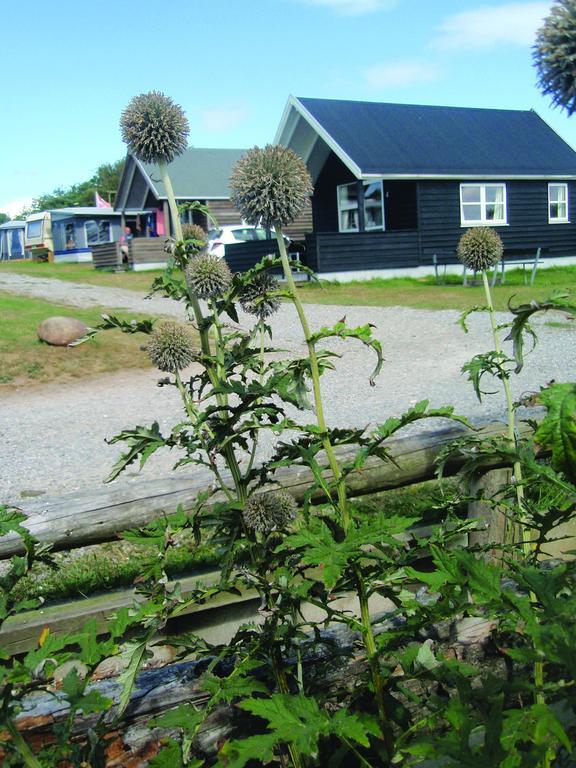 Toftum Bjerge Camping & Cottages Humlum Bilik gambar